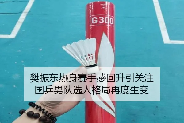 樊振东热身赛手感回升引关注 国乒男队选人格局再度生变（IMSPORTS）
